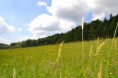 /album/fotogalerie-uvod/dsc-2893-jpg/